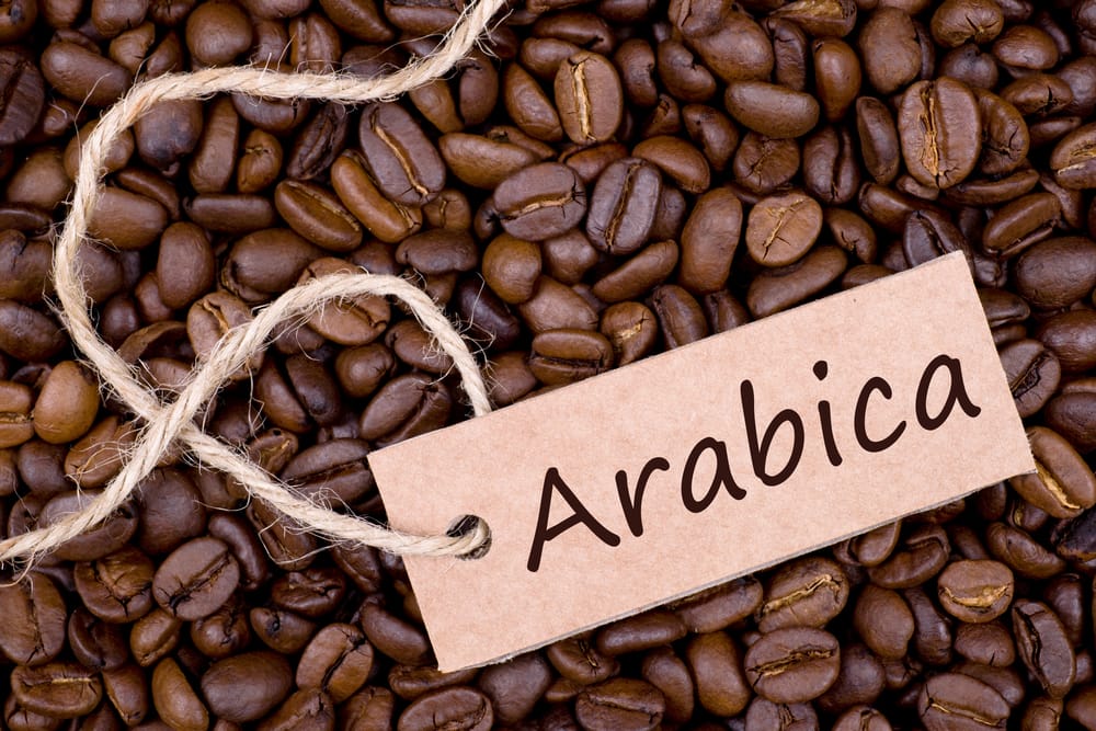 Chicchi di caffè Arabica.