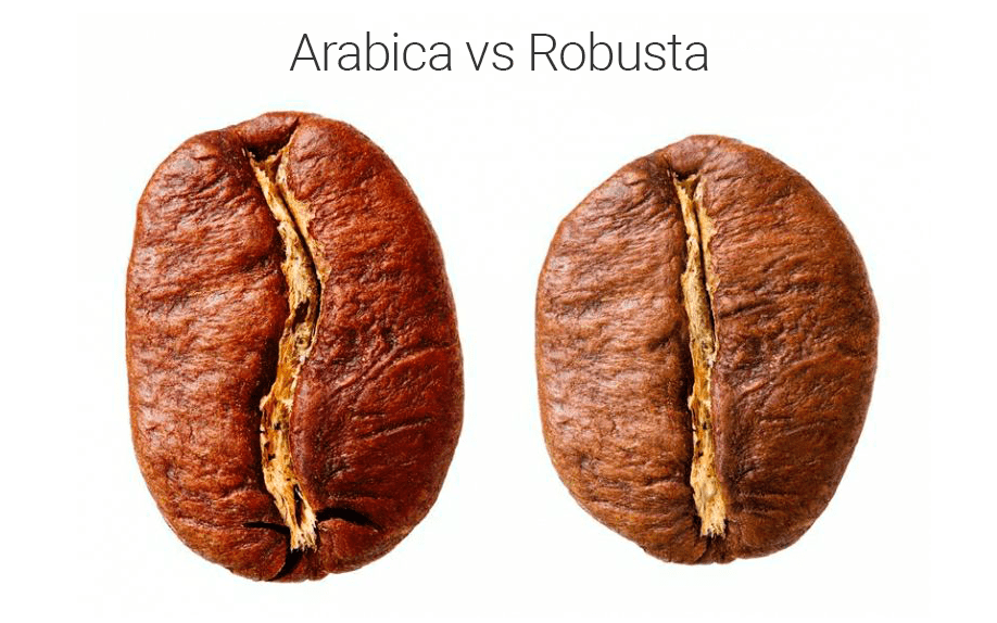 Arabica-vs-robusta.